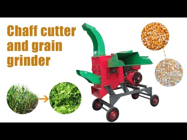 2022 Taizy Combined Chaff Cutter GrInder for Stalks, Straws, Grass, Grain #chaffcutter #grinder