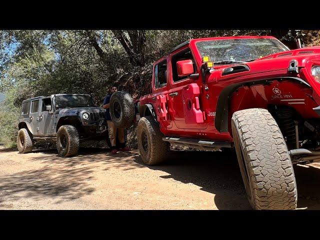 Quick Buchanan Rd fire trail run ! (Sonora , Tuolumne CA)