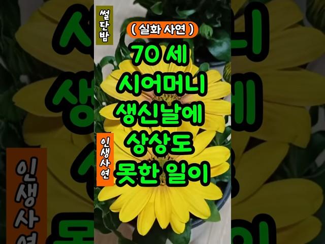 70세 시어머니 생신날에 상상도 못한일이#사연#실 #실화사연#공감 #노후사연 #인생사연 #라디오사연 #충격실화