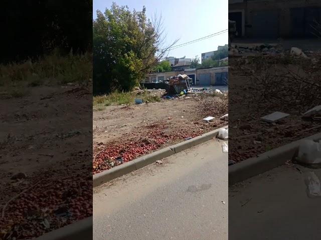 Мусор УК Квартал, Волгоград, безопасность и здоровое поколение.