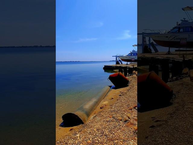 Сезон в Крыму #reaction #germanshepherd #крым #донузлав #nature #beach #recipe #travel #евпатория