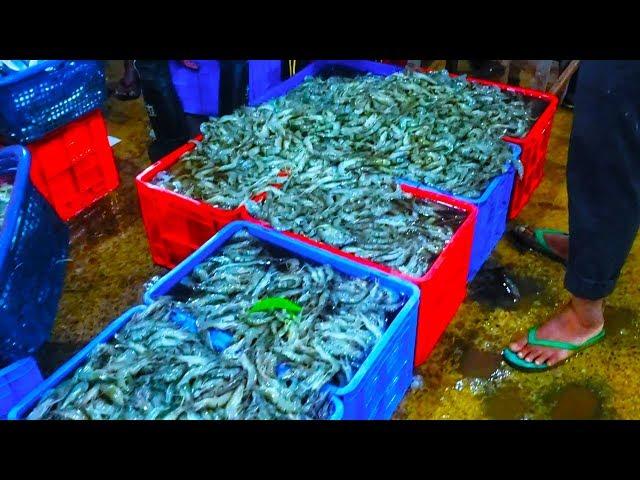 Negombo Lellama | Sea Food Heaven | Fresh Sea Food Sri lanka