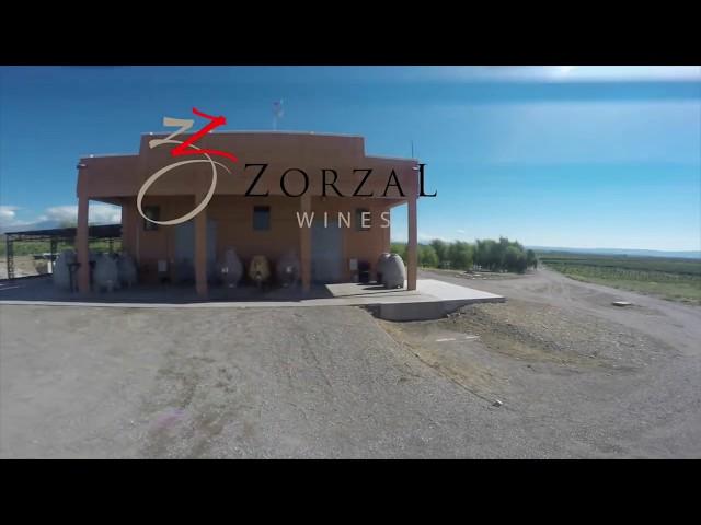 Zorzal Wines, Valle de Uco Mendoza, Argentina. VINEYARDS AND DRONE