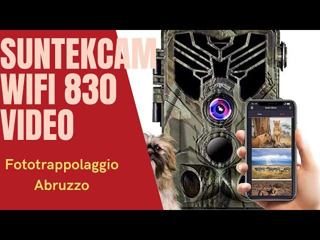 Selezioni di video ripresi con fototrappola SuntekCam Wifi 830