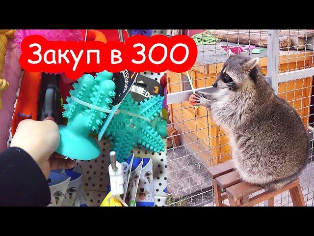 Закупка в зоомагазине. Лимону понравились игрушки