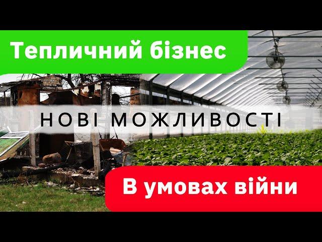 Тепличний бізнес в Україні. Від хобі до прибуткового бізнесу один крок!