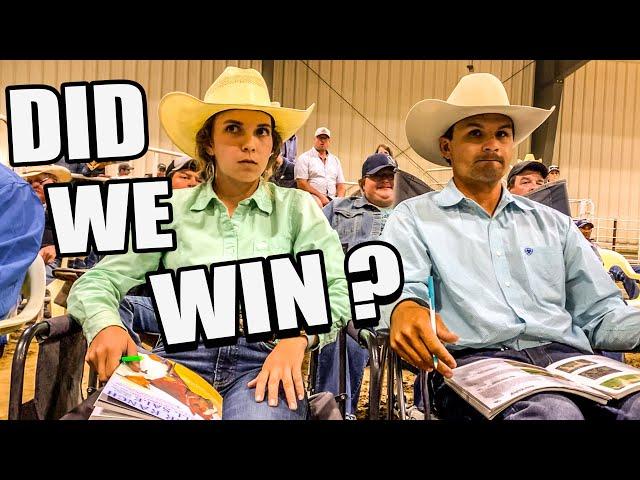 BIDDING WAR on HORSE COLTS at The Pitzer Ranch Fall Sale 2024