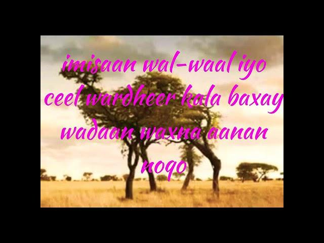 HEESTA IMISAAN WALWAAL IYO CEEL WARDHEER ORIGINAL LYRICS KHADRA DAAHIR