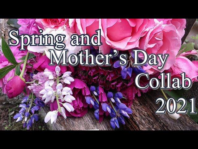 #springandmothersdaycollab2021 Hosted by Kathys favorite things and Life with Patti