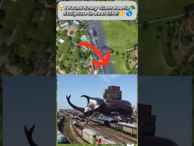 I Found Strange Giant Beetle CaughtGoogle Earth & Google Maps! #shorts#YouTube short#viral video