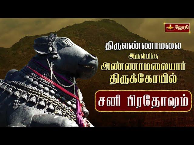 திருவண்ணாமலை ஸ்ரீஅருணாச்சலேஸ்வரர் கோவில் | சனி பிரதோஷ வழிபாடு | Nandhi Abishegam | Jothitv