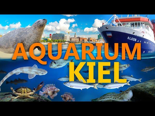 Aquarium GEOMAR in Kiel | Zoo-Eindruck