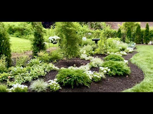 White Garden - Moon Garden - Zone 6a/6b - Perennial Garden - Garden Tour - 2022