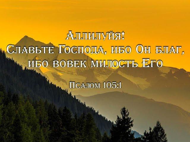 Песни хвалы и поклонения. Сборник № 8