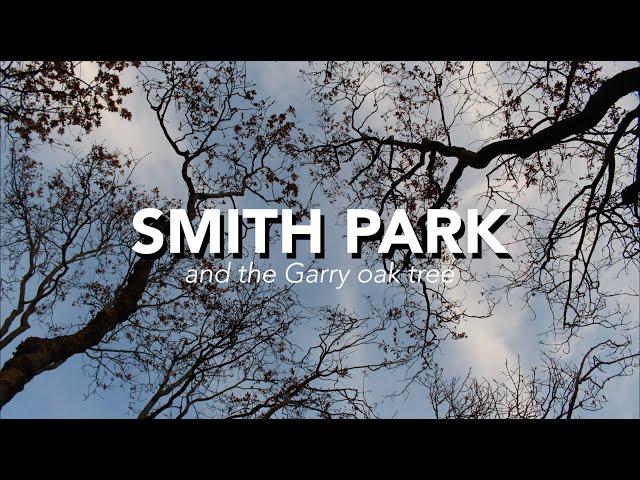 Smith Park and The Garry Oak Tree - Oak Harbor Garry Oak Society