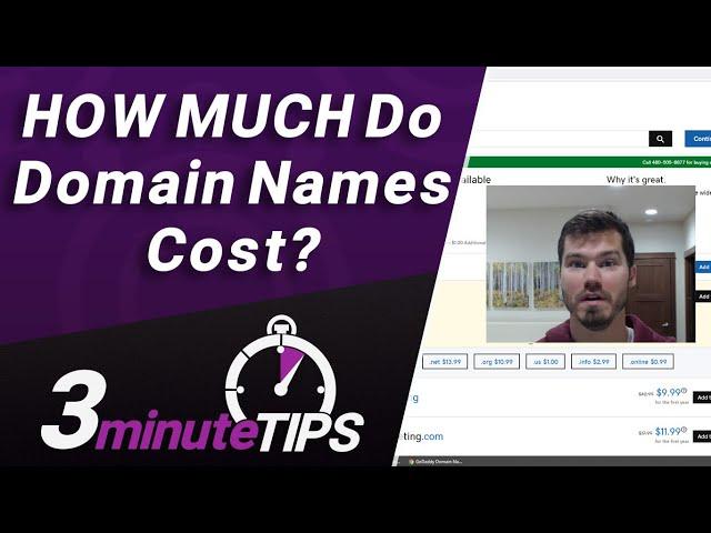 Domain Names Cost OVERVIEW - Price Range, Expensive Domains, and Renewal Prices