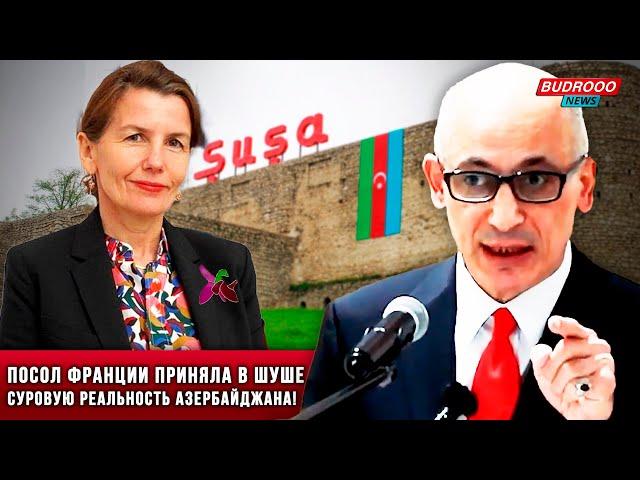 ️Рамиз Юнус: Посол Франции приняла в Шуше суровую реальность Азербайджана!