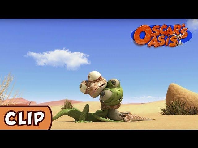 Oscar's Oasis - Baby Oscar | HQ | Funny Cartoons