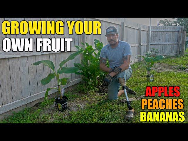 Mistakes Were Made - DIY Growing Food - South Texas Roots