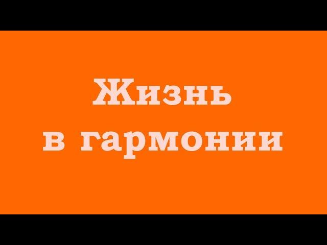 Жить в гармонии с собой