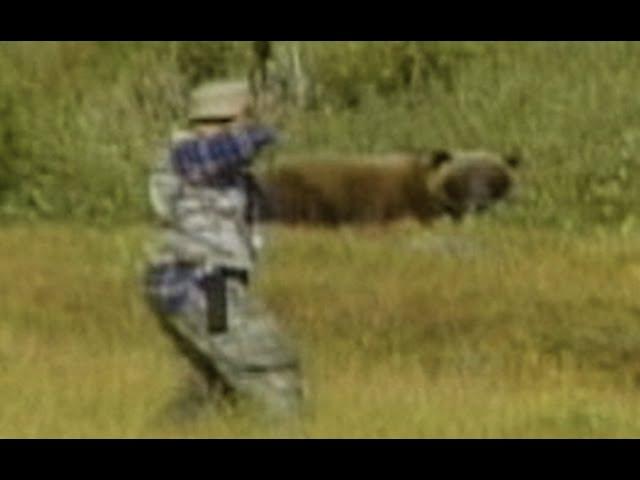 Monster Grizzly Shot Between the Eyes With a Bow