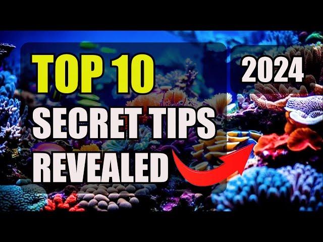 TOP 10 Tips for Starting a Saltwater Aquarium in 2024