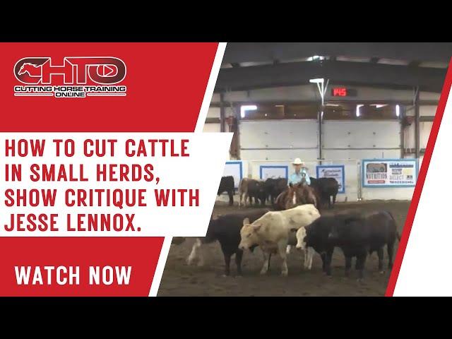 How To Cut Cattle In Small Herds, Show Critique With Jesse Lennox.