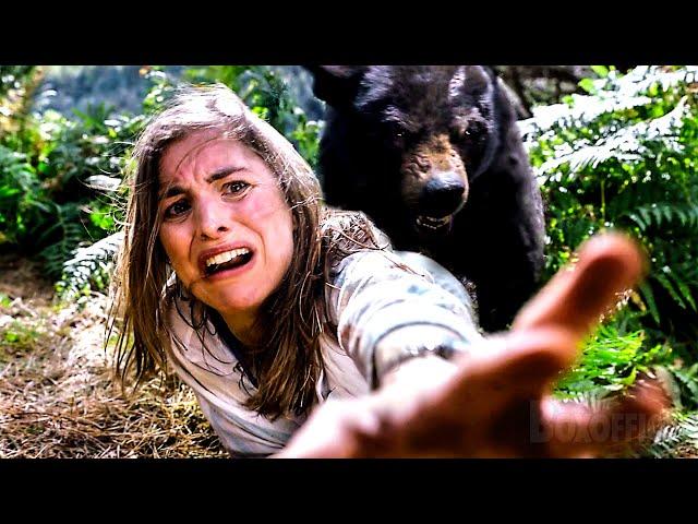 Wild Bear Goes NUTS | Crazy Bear Best Scene  4K