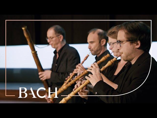 Bach - 'Brandenburg' Concerto no. 1 in F major BWV 1046 - Cicic | Netherlands Bach Society