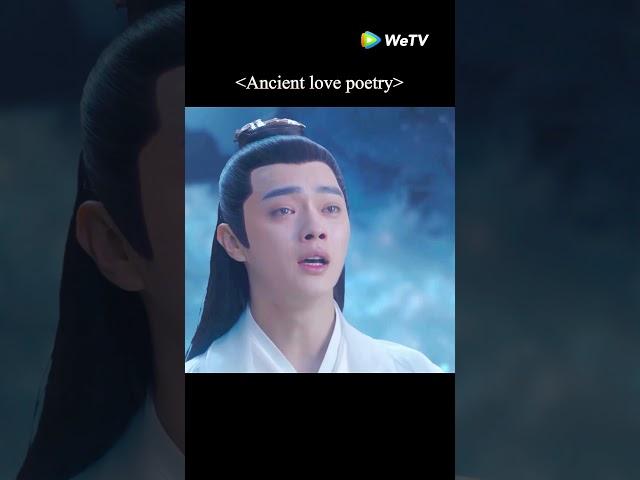 Bai Jue's crying is heartbreaking~#千古玦尘#ancientlovepoetry #周冬雨 #许凯  #shorts