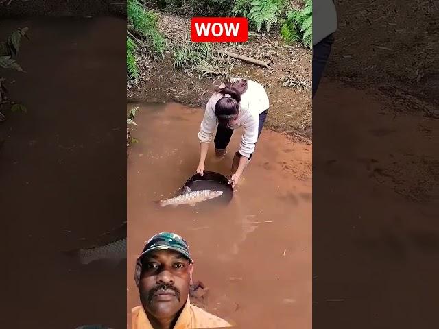 amazing woman fishing #fishing #fish #love #travel #fishinglife #song #fishingequipment #shorts
