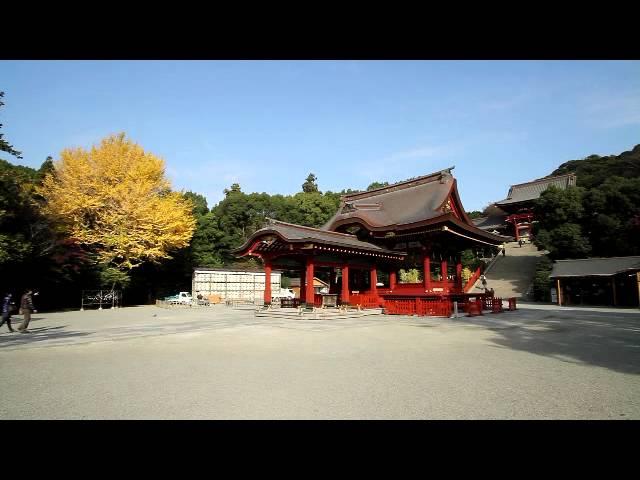 神奈川県　鶴岡八幡宮の紅葉