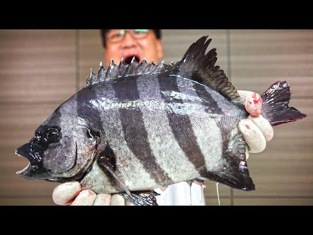 I will show you why this fish is the king of sashimi.