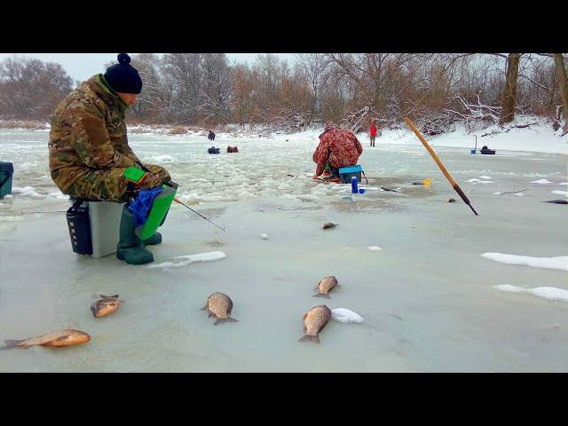 ВЕЛИКІ КАРАСІ НЕ ЛІЗУТЬ В ЛУНКУ. Зимова рибалка на карася