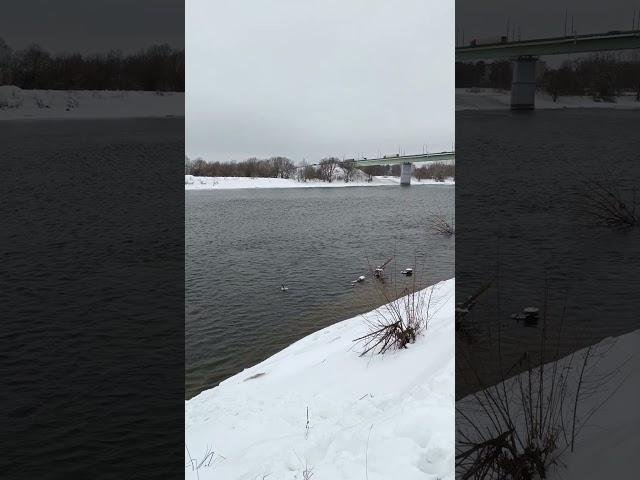 г. Бронницы | Ещё одна точка где можно покидать спиннинг по открытой воде |
