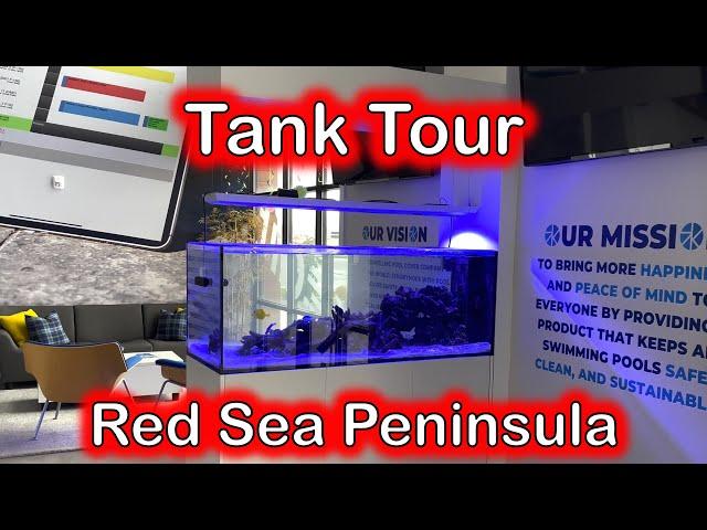 Red Sea Reefer Peninsula Reef Tank Tour