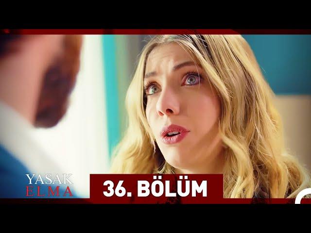 Yasak Elma 36. Bölüm