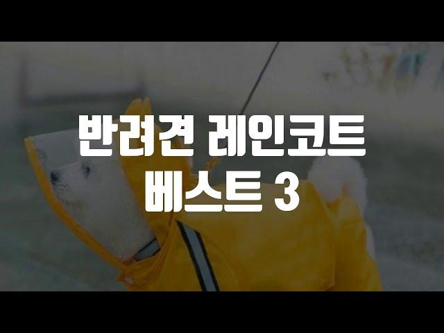 반려견 레인코트 베스트 3 #반려견레인코트 #강아지우비