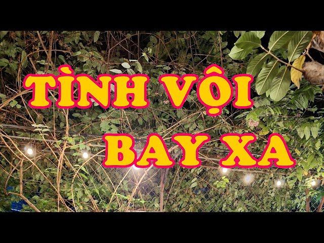 Hồi Ký Miền Nam |  Tình Vội Bay Xa (Hai Hùng SG)