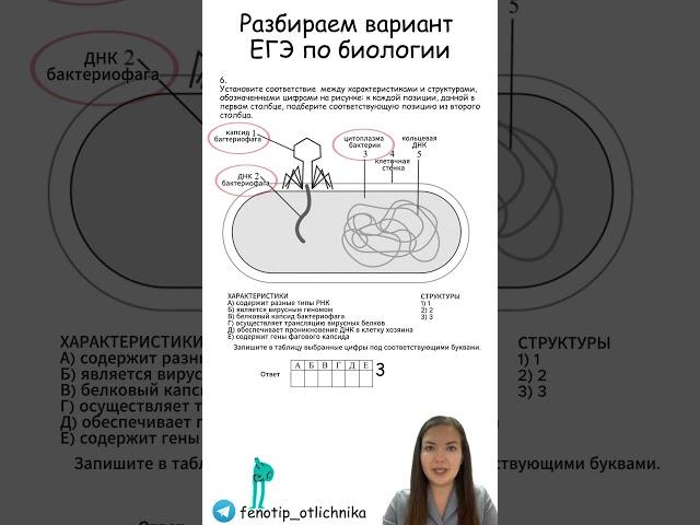 Разбираем вариант ЕГЭ биология (задание 6) #биология #егэ #огэ #репетитор #репетиторегэ #экзамен
