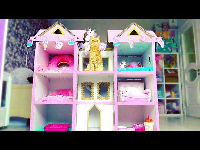 Building 4 FLOORS Kitten Cat Pet House from Cardboard  !