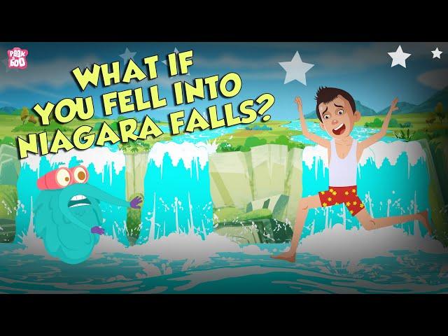 What If You Fall into Niagara Falls? | Niagara Waterfall | The Dr Binocs Show | Peekaboo Kidz