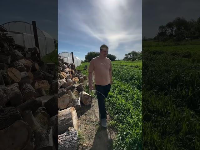 Наш обычный день на Кубани всё как всегда #garden #gardenlife #дача #огород #shortsvideo