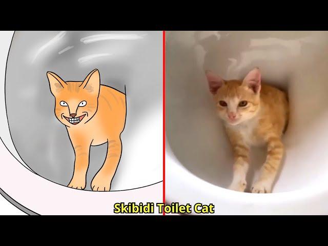 Cat Memes: Skibidi Toilet Cat and Funniest Dogs - Drawing Memes Part 9  Trending Funny Animals 