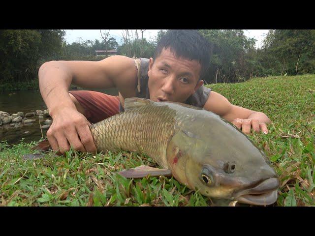 Catching big fish in the wild, catching fish by hand brings an interesting experience