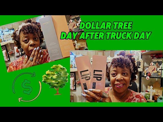 Dollar Tree  New Truck Finds . #dollartree #dollartreenewfinds