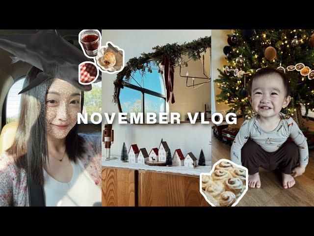 NOV VLOG｜圣诞装饰 is up！贴冬膘各种面包做起来了～英式司康饼 肉桂卷｜