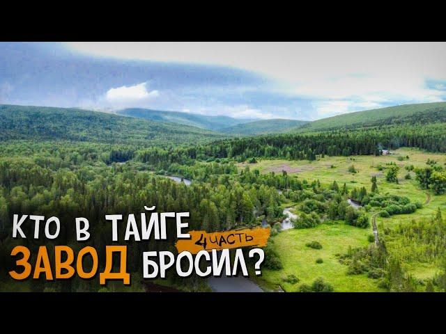 Нашли ЗОЛОТО в окрестностях БРОШЕННОГО ЗАВОДА | ЧАСТЬ 4