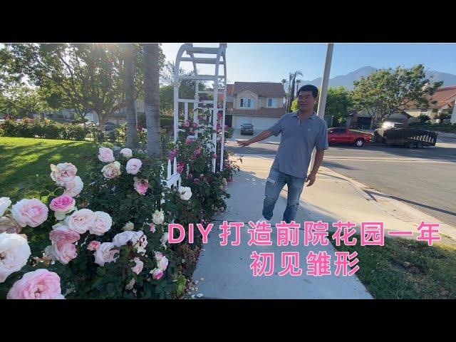 光哥DIY一年打造前院玫瑰花园初见雏形，赶快订阅让我们一起DIY创造美丽私家花园吧！