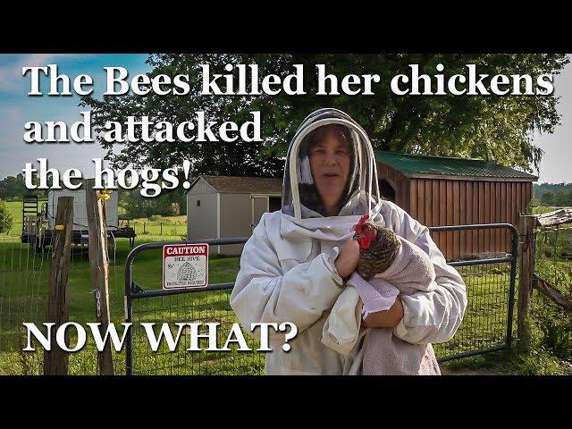 Africanized Honey Bees Attack, Why do they do that? What should you do? Beekeeping Lesson